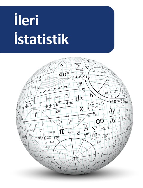 İleri İstatistik Eğitimi